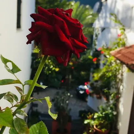 Сasa de vacaciones Casa El Callejon De
